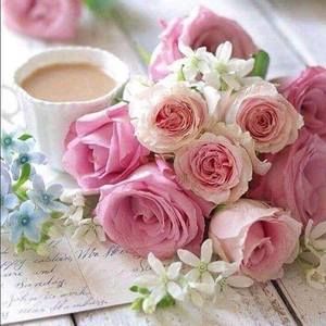 Meet your Posher, Pauline